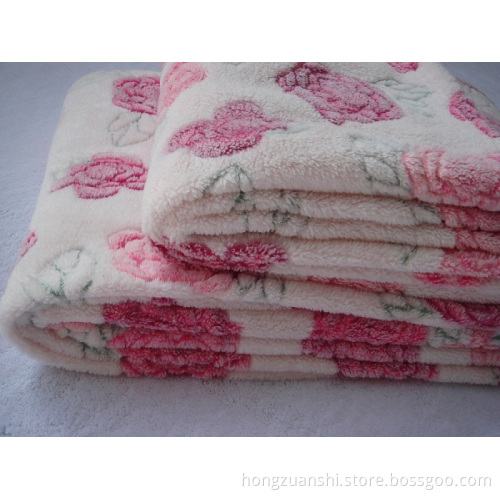 Embossed Printing Coral Fleece (HZS-320)